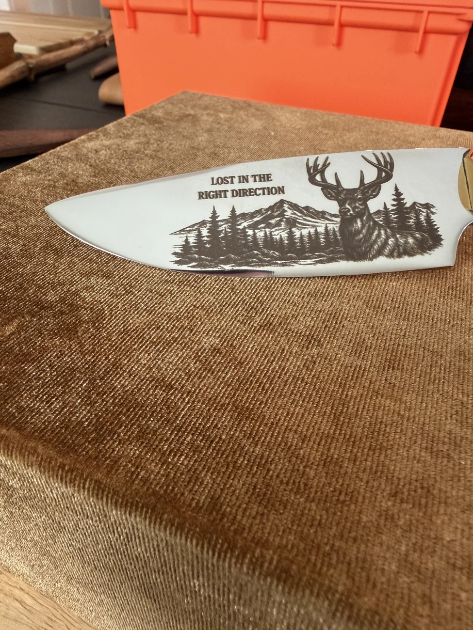 Lost in the Right Direction™ — Buck Edition